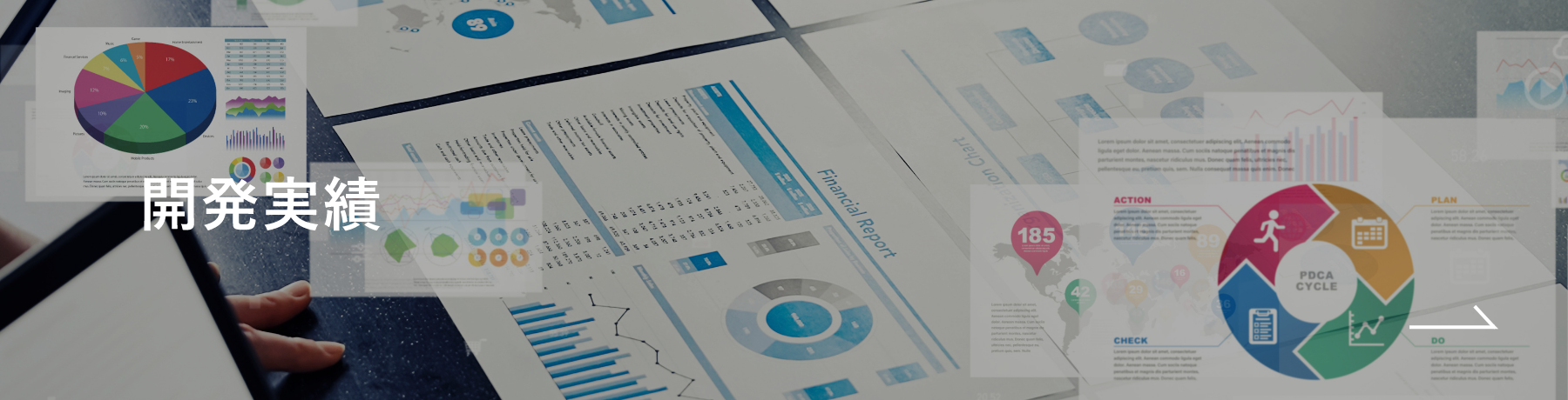 開発実績
