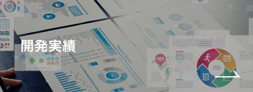 開発実績